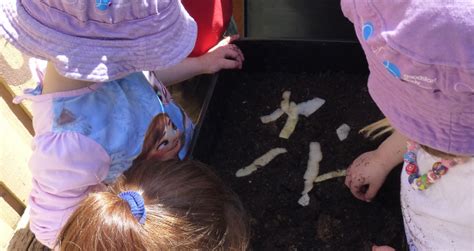 Sustainability Incursions | Preschool Melbourne