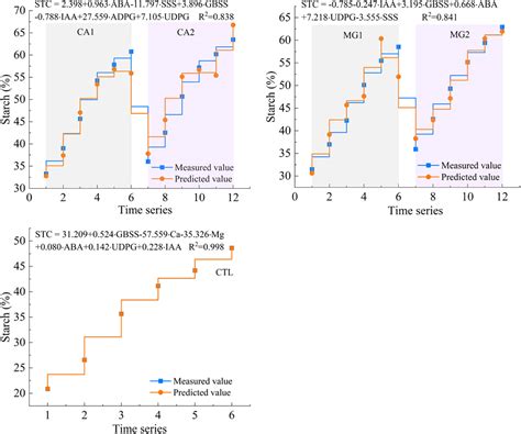 Frontiers Effect Of Calcium And Magnesium On Starch Synthesis In