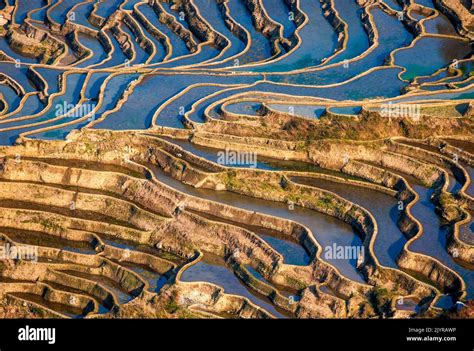honghe hani rice terraces  yuanyang county yunnan province china
