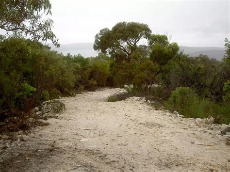 Aboriginal Heritage Track Walking Track