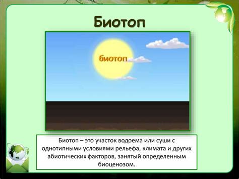 Экологические сообщества - презентация онлайн