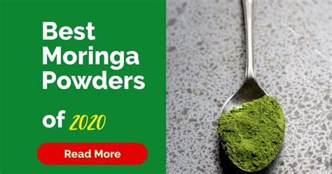 10 Best Moringa Powders Of 2024 Inside Moringa