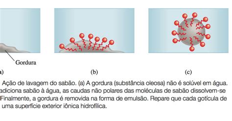 O Que Causa A Ação Limpadora Do Sabão - Ação de lavagem do sabão