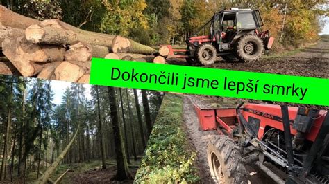 Dokončení smrkového výběru těžba dřeva Zetor 7245 Agama aga 2 Stihl