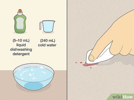 How To Remove Blood Stains From Carpet 15 Steps With Pictures