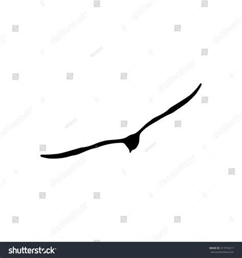 Flying Seagull Bird Black Silhouette Isolated On Royalty Free Stock