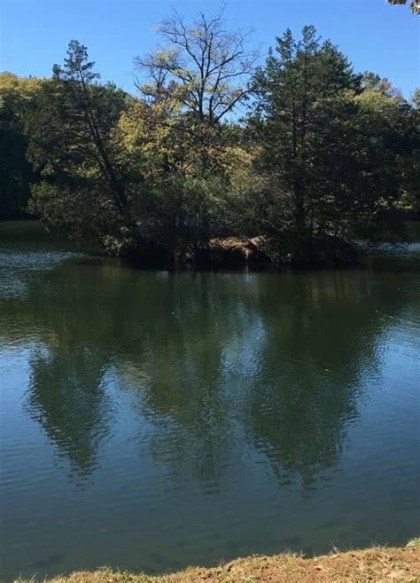 Frolicking In Summer The Gay Lesbian Review