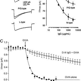 Mice With Brain Infusion Of D Iii Igg Exhibited Cerebellar Ataxia In