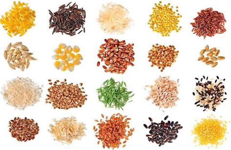 Common Feed Ingredients for Livestock - Agro Web System