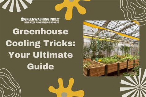 Greenhouse Cooling Tricks Your Ultimate Guide