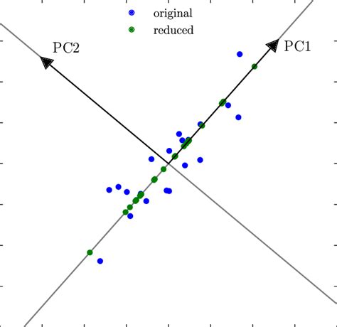 A Simple Illustration Of Principal Component Analysis Pca The Blue Download Scientific