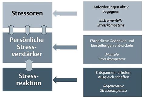 Extrem Kohlenhydrat Ausstellung Vulnerabilit T Stress Modell Wittchen