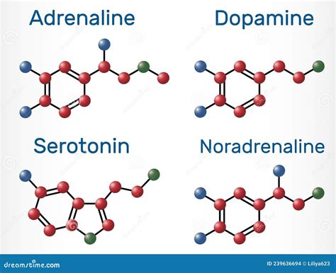 Dopamin And Serotonin Hormones Vector Chemical Formulas Cartoondealer