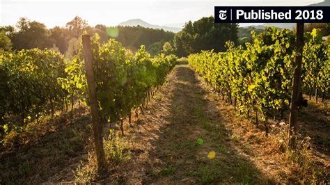 In Tuscany, Farms Embrace Nature — and Visitors - The New York Times