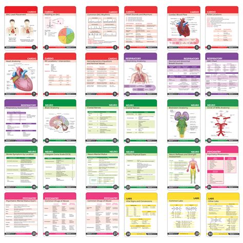 Nursing Notes 60 High Yield Pocket Nursing Reference Card Set Medical Basics