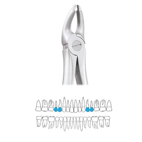 Buy GDC Extraction Forceps Upper Premolars 7 Atraumatic AFX7 Online