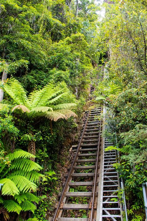 Scenic Railway at Scenic World | Blue mountains australia, Scenic train ...