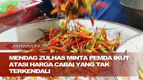 Mendag Zulhas Minta Pemda Ikut Atasi Harga Cabai Yang Tak Terkendali