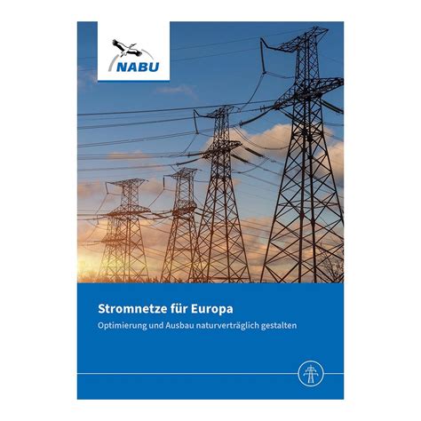 Brosch Re Stromnetze F R Europa Optimierung Und Ausbau