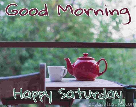 41 Good Morning Happy Saturday Images Hd 2024 Best Status Pics