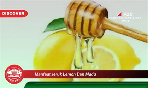 Ketahui Manfaat Jeruk Lemon Dan Madu Yang Bikin Kamu Penasaran