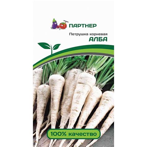Петрушка корневая Алба, семена 2 г – купить в магазине "КСП" с ...