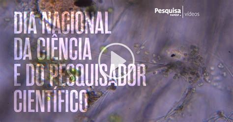 Especial Dia Nacional da Ciência e do Pesquisador Científico Revista