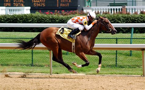 Top 31 Amazing And Dashing Horse Racing Wallpapers In HD