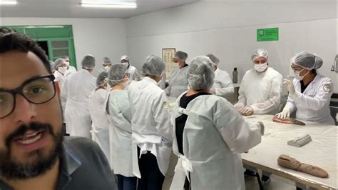 Necropsia Ou Autópsia