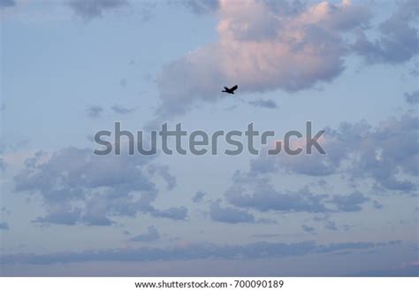 1 机场候车 图片、库存照片和矢量图 Shutterstock