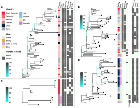 Phylogenetic Structures Of Salmonella Enterica St Clones Carrying