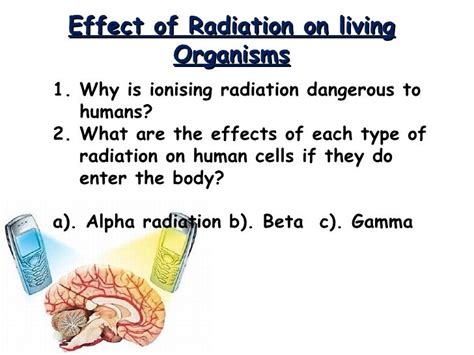 15 Effect Of Radiation On Living Organisms