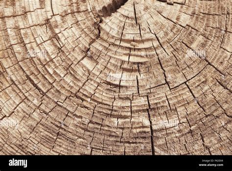 Cracked Wooden Texture Stock Photo Alamy