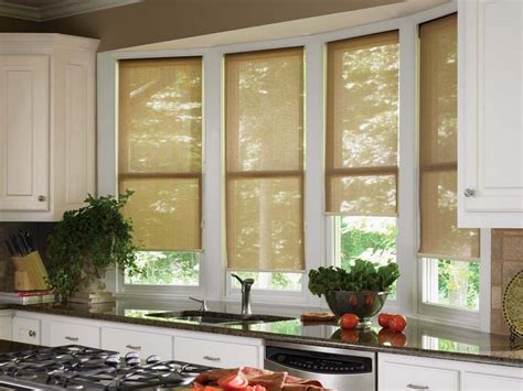 Custom Roller Shades | Home Design Ideas