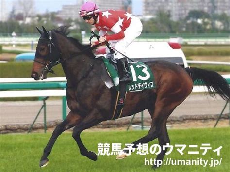 スプリングラヴ競走馬2020年産 成績｜地方競馬予想のウマニティ