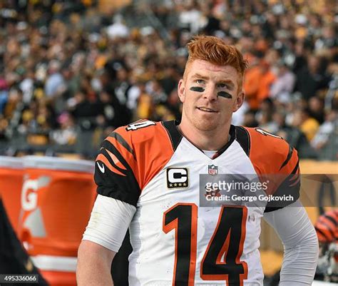 Cincinnati Bengals Qb Andy Dalton Photos And Premium High Res Pictures