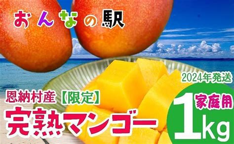 2024年発送【限定】完熟マンゴー 1kg（2〜3玉） ご家庭用 おんなの駅（恩納村産）｜ふるラボ