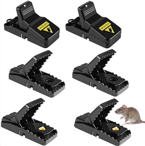 Amazon Matrotel Pack Rat Traps Indoor Outdoor Quick Effective