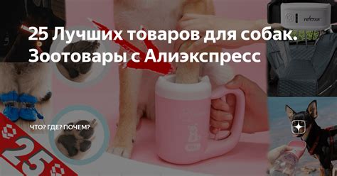 25 Лучших товаров для собак. Зоотовары с Алиэкспресс | Что? Где? Почем ...