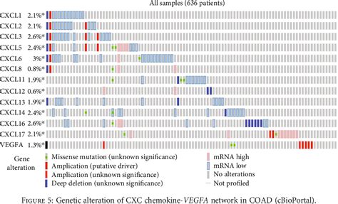 Figure From Systematic Analysis Of Cxc Chemokinevascular Endothelial