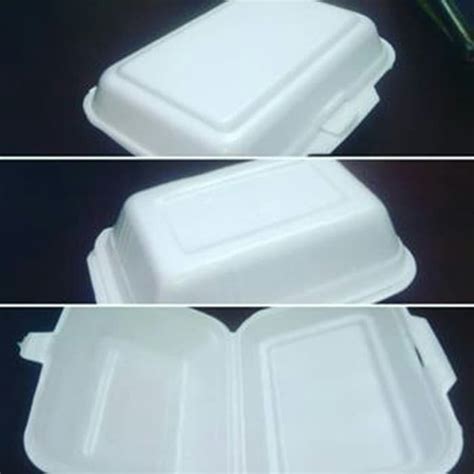 Jual Styrofoam Isi 100 Pcs Sterofoam Gabus Nasi Kotak Makan TF 2