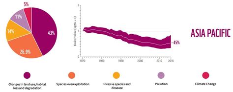 The Statistics Of Biodiversity Loss Wwf Report Earth Org