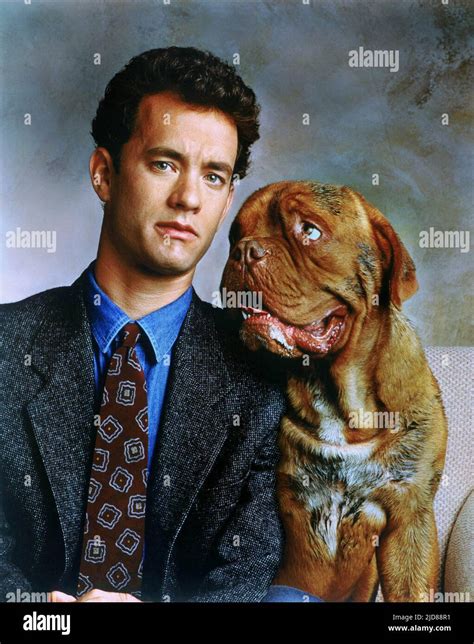 HANKS,DOG, TURNER and HOOCH, 1989 Stock Photo - Alamy