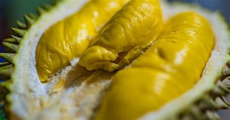 Durian Il Frutto Puzzolente Ricco Di Propriet Benefiche