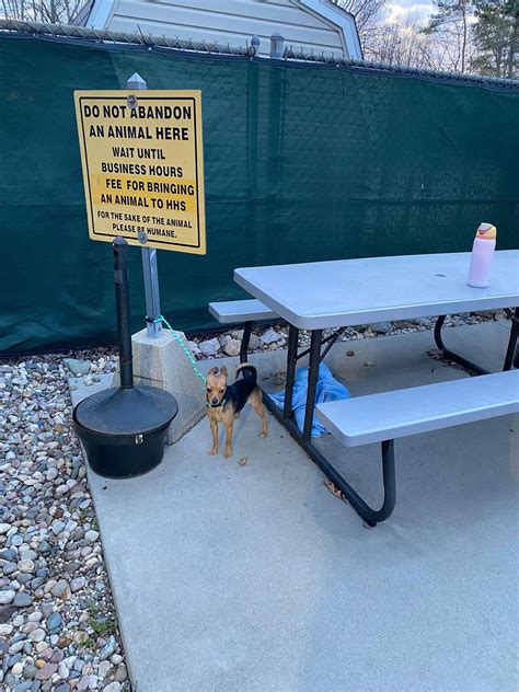 Discover the Heartbreaking Secret Shelter Staff Found Next to This Sign
