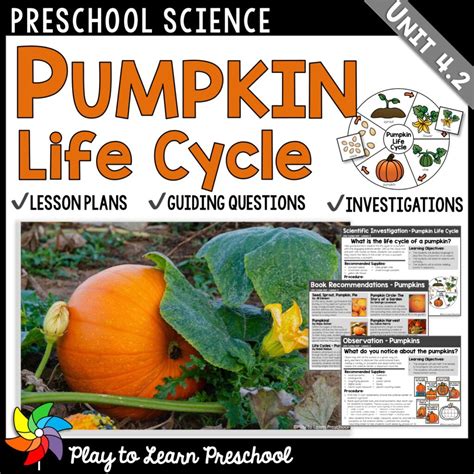 Pumpkin Life Cycle Science Center Play To Learn Preschool