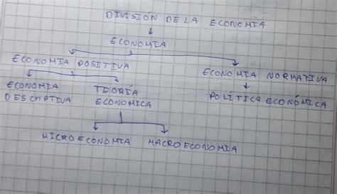 Mapa Conceptual Sobre La División De La Economía Brainlylat