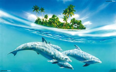 dolphins ocean wallpaper