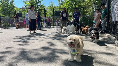 Jackson Heights First Public Dog Park Opens