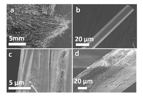 Sem Images Of The As Grown Zno Micro And Nanowires A And B Zno